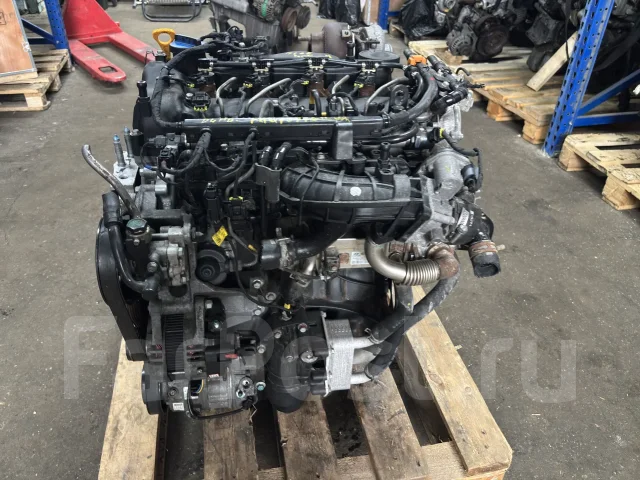 D4HB 2.2� 202 �� ���� 6 ��������� Kia Carnival 137F12FU00 ����