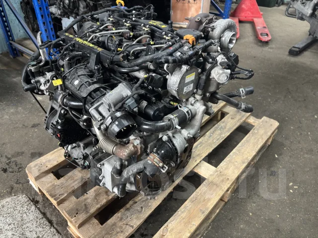 D4HB 2.2� 202 �� ���� 6 ��������� Kia Carnival 137F12FU00 ����