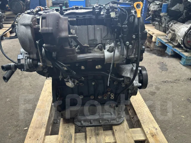 D4HB 2.2� 202 �� ���� 6 ��������� Kia Carnival 137F12FU00 ����