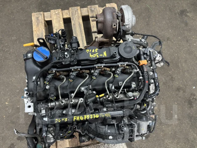 D4HB 2.2� 202 �� ���� 6 ��������� Kia Carnival 137F12FU00 ����