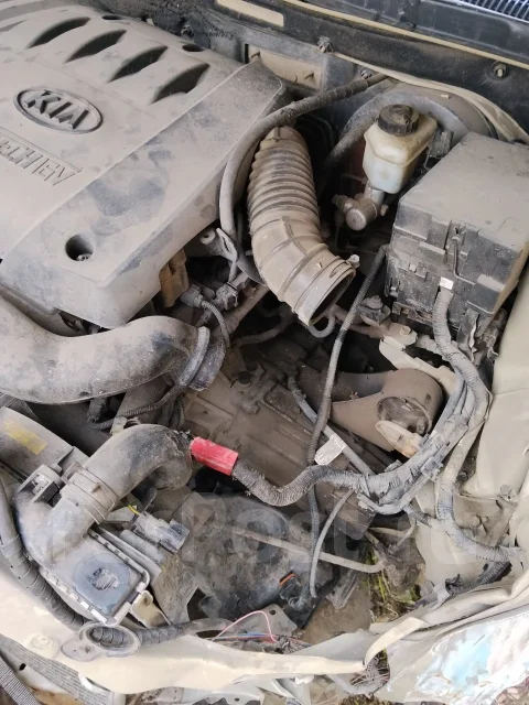 Kia Spectra. 123, 321 ����