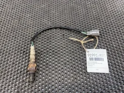 ������ ����������� Honda Civic Ferio 1999 36531P3YG01 EK5 D16A [91991] 36531P3YG01 ����