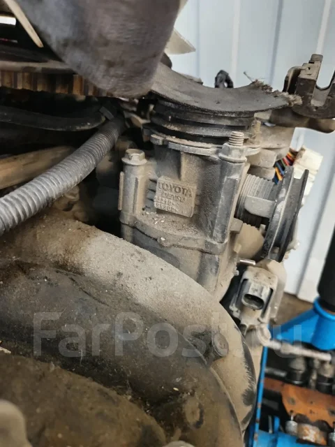 ��������� ����