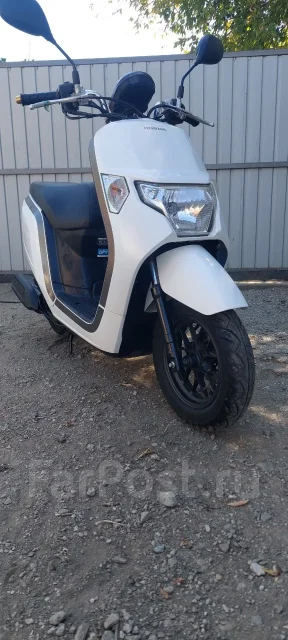 Honda Dunk. 49����. ��., ��������, ���������, ��� ������� ����