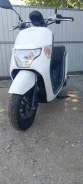 Honda Dunk. 49����. ��., ��������, ���������, ��� ������� ����