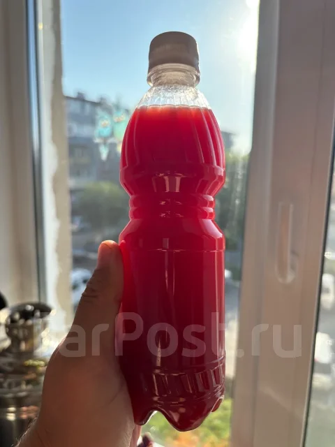 ����. ����