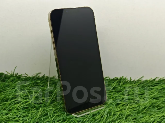 Apple iPhone 13 Pro Max. �/�, 1 ��, �������, 3G, 4G LTE ����
