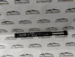 ����������� ��������� FORD Focus DBW 1215333 1215333 ����