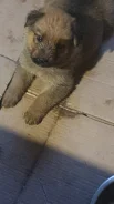 ������. ����
