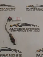 ������-���� Honda STEP Wagon RF3 K20A 36532-PNC-004 36532PNC004 ����