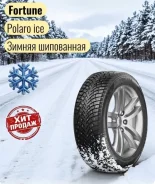 Fortune Polaro Ice. ������, ����������, 2026 ���, ����� ����