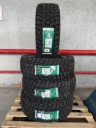 Roadcruza Snow Lynx. ������, ����������, 2026 ���, ����� ����