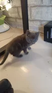 ����������� �����. ����