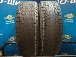 BFGoodrich Winter Slalom KSI