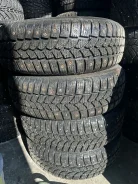 Tigar Winter. ������, ����������, 2024 ���, �/�, ����� �� 5 % ����