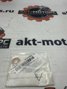 ��������� ��� �������� (������-����) A6110170060TE Turbo Engineering A6110170060TE A6110170060TE ����