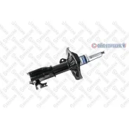 ����������� | ����� ���� | 42140248SX 42140248SX ����