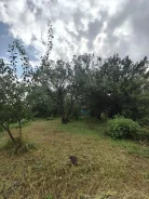 ��������� ������� � ����������� � ���������� ������. 40.1����., ��� ������� ������� ���������� ���������, �������������, �������������, ���� ����