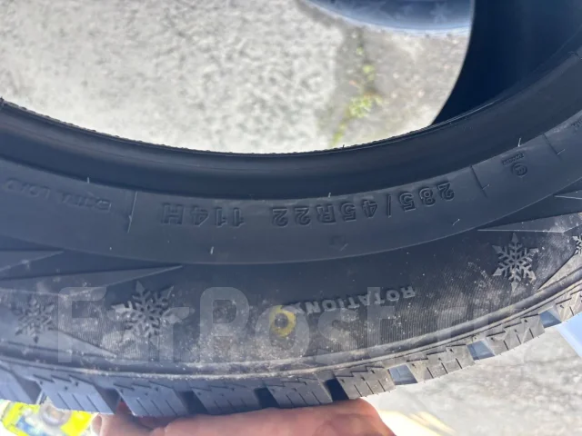 Rotalla Setula W Race S500. ������, ��� ����, 2026 ���, ����� ����