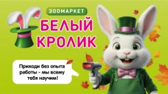 ���������. �� ��������� �.�. ����� ������� 66 ����