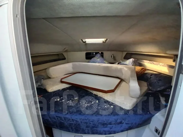 Searay. ����� 15��., ��������� ��� ��������� ����