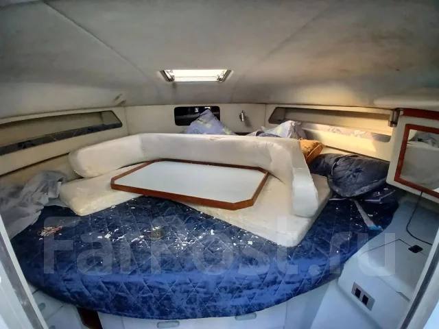 Searay. ����� 15��., ��������� ��� ��������� ����