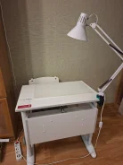 ������ �������� �������� ���� � ���� ����