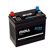 Moll. 50��.�., B24, 460��., ��������, ������������ ������ ����