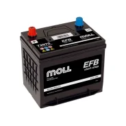 Moll. 70��.�., D23, 700��., ��������, ������������ ������ ����