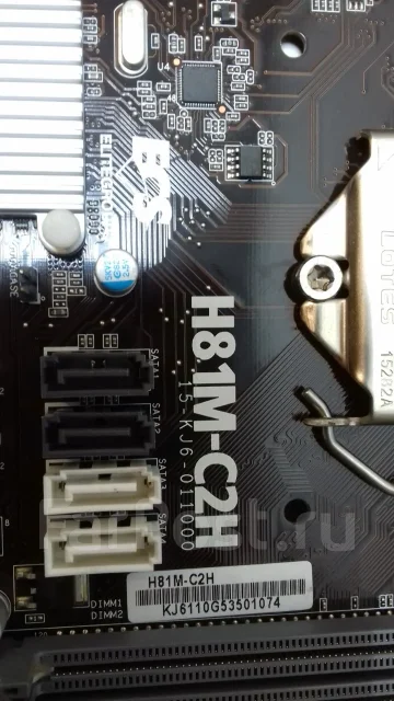H81 ����