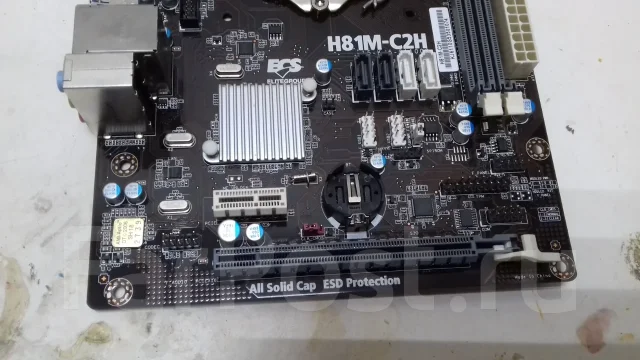 H81 ����