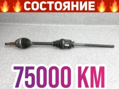 ������ Toyota RAV4 2005 4341042060 ACA20W 1AZ-FSE, �������� ������ 4341042060 ����