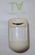 ���������. ����
