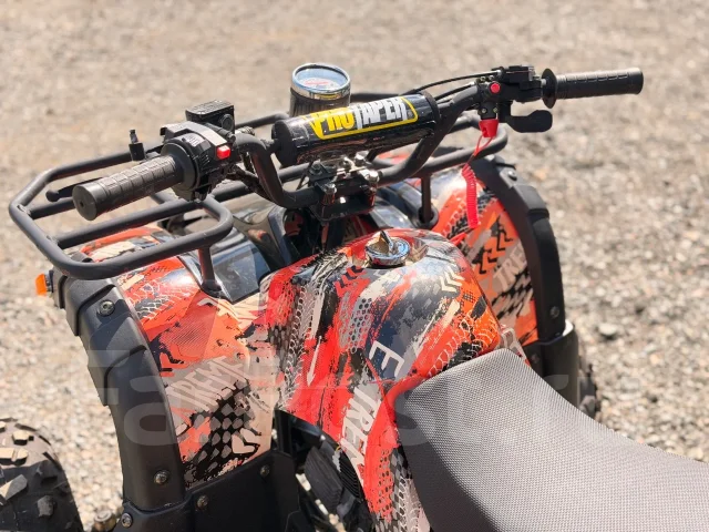 Grizzly 125. ��������, ��� ���\���, �� ����