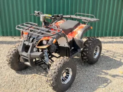 Grizzly 125. ��������, ��� ���\���, �� ����