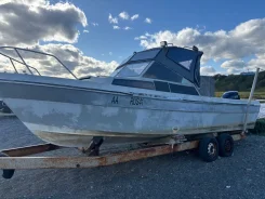 Yamaha Fish 24. 1989 ���, ����� 7,8��. ����
