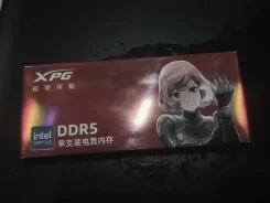 DDR5. ����