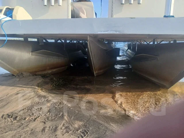 ����� ��������. 2019 ���, ��������� ��� ���������, ������ ����