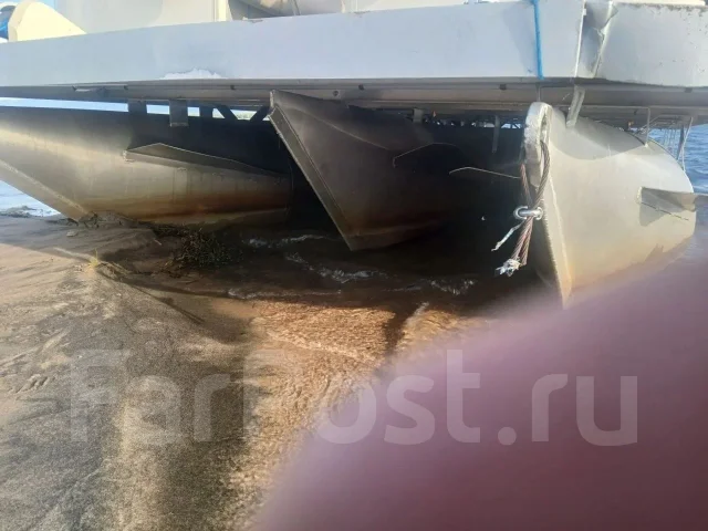 ����� ��������. 2019 ���, ��������� ��� ���������, ������ ����