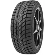 Delinte Winter WD6
