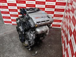 ��������� Lexus RX330 3MZ-FE MCU38 T54100531 19000-20450 1900020450 ����