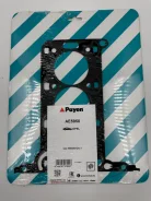 ��������� ������� ����� Payen Z10XE, Z10XEP, A10XEP AE5950 AE5950 ����