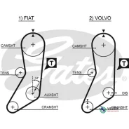 ������ ��� � ���������� Gates 5020 5020 ����