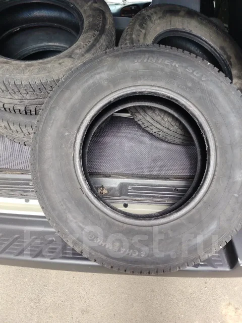 Cotechoo. ������, ��� �����, 2024 ���, �/�, ����� 5 % ����