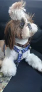 ��-���. ����