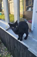 �����. ����