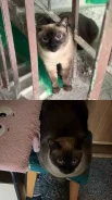 �����. ����