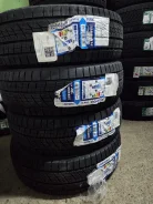 Zelda Surate Ice03. ������, ��� �����, ����� ����