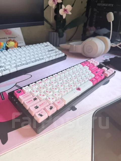 ����������. ����