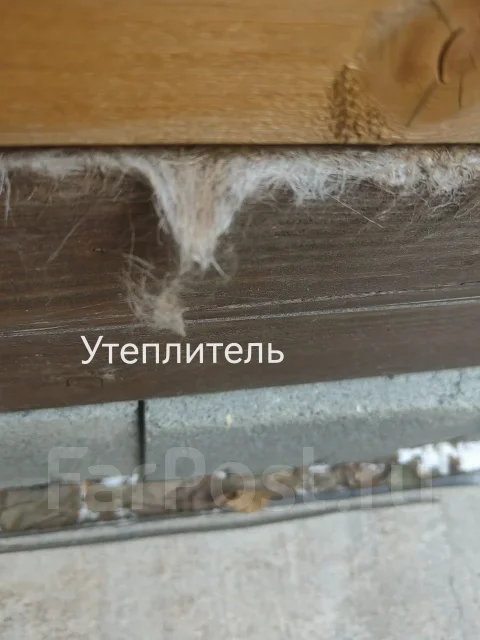 ����. ����